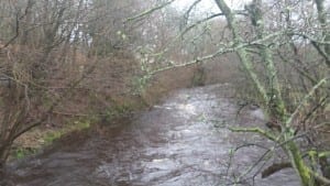 Stormy waters. Bedburn Beck filled to bursting