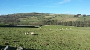 The Hills of Upper Weardale