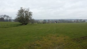 Raby Castle, hazy in the distance